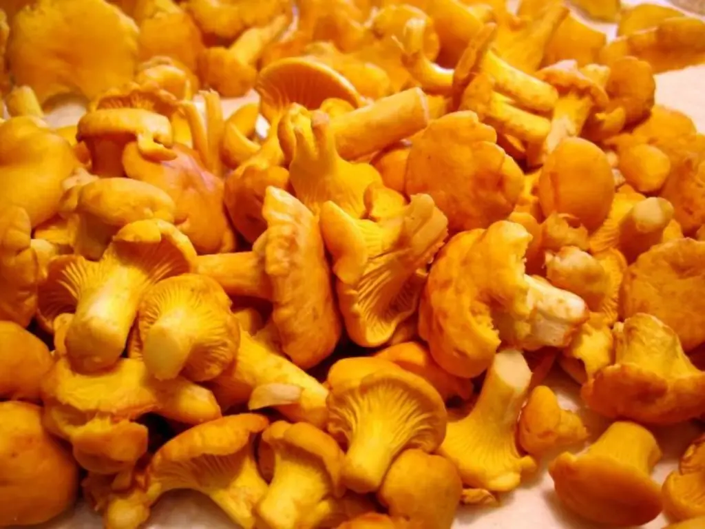 Заморозить лисички