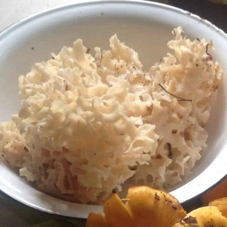 Перцы с начинкой из кудрявой курицы