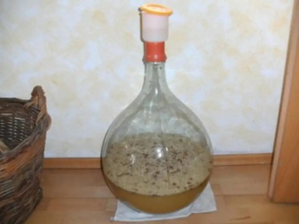 Фруктовое вино: вино из бузины