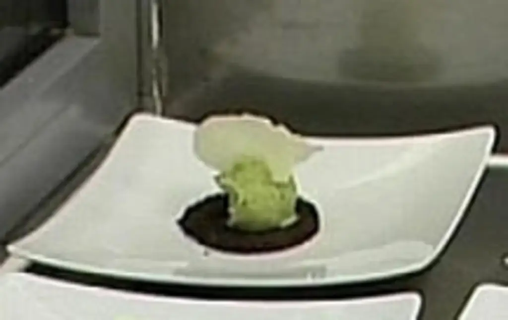 Мороженое с базиликом и тонким пармезаном