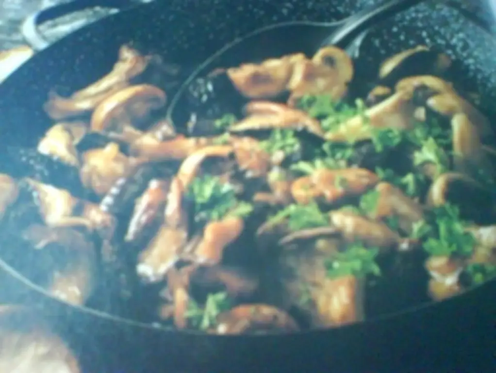 ИЗОЛИРОВАННЫЕ СМЕШАННЫЕ ГРИБЫ