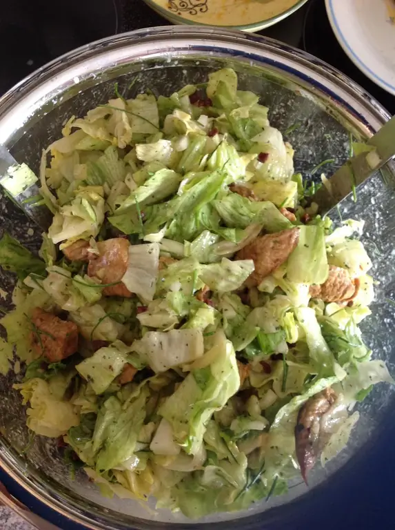 Зеленая весна Санни