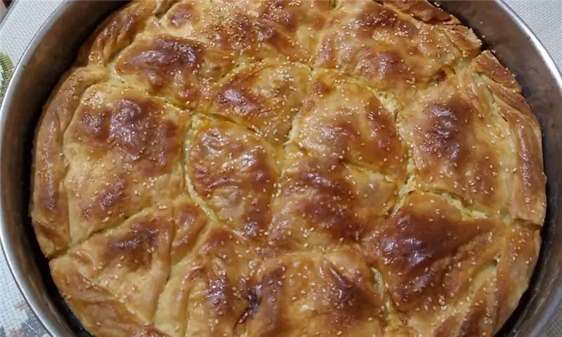 241168999 1509366212743649 5345246302214012083 н