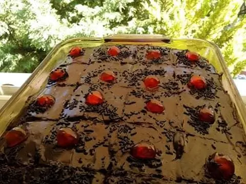 Очень приятный сладкий муравей