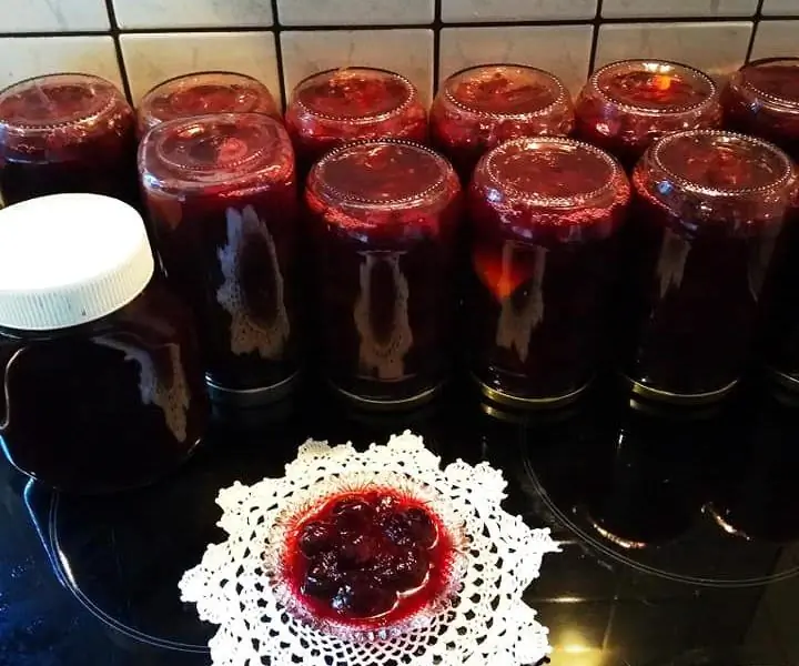Ого, какой цвет! Ложка черешни с фруктозой