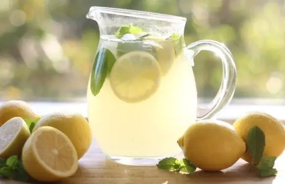 Приготовьте вкуснейший прохладительный домашний лимонад на все случаи жизни