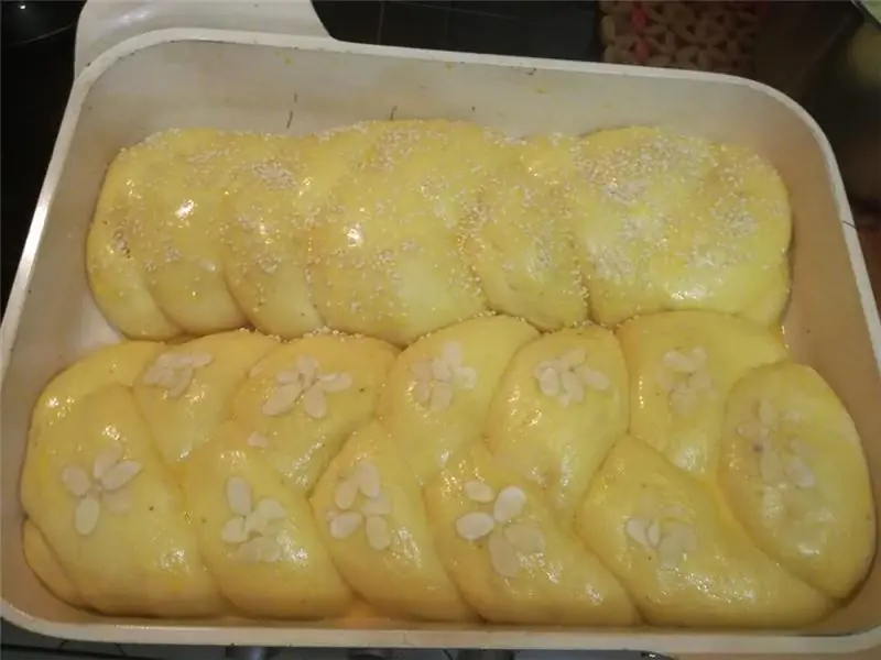 51513562 2253239028279645 1041549154330869760 н