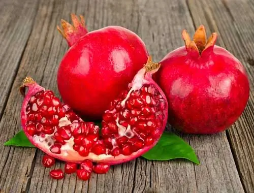 Инструкция по применению для …гранатов