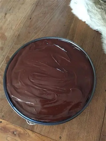 33158302 10211775958448766 6024264482493038592 н