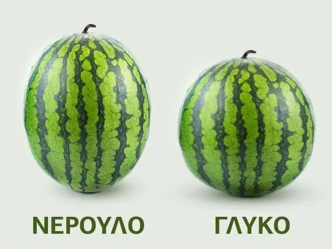 12183515-102027-2-1469176934-650-816454д934-1469430511 12183515-102027-2-1469176934-650-816454д934-1469430511