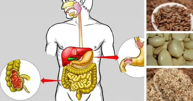 5 продуктов, которые помогут вам быстро и естественно очистить пищеварительную систему, а также похудеть