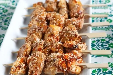 kotopoulou pane souvlakia kotopoulou me sousami k paprika kotopoulou pane souvlakia kotopoulou me sousami k paprika