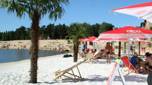 Что будет на большом двойном бургере на кулинарии?