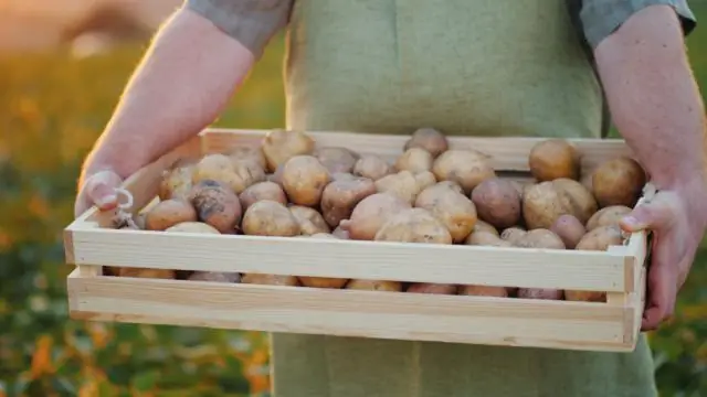 Как лучше всего хранить лук и картофель?
