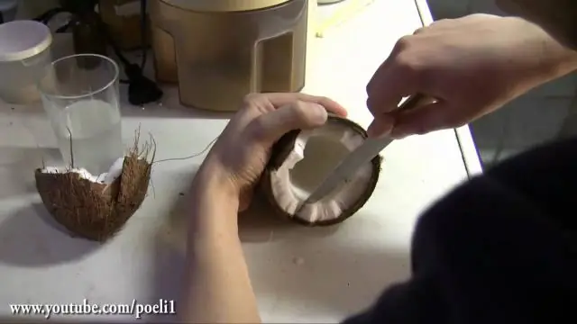 Как развивается кокос?