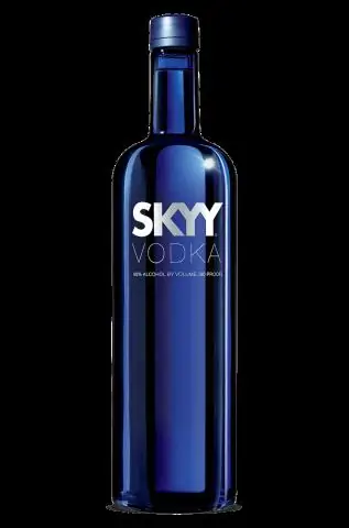 Что хорошо сочетается с водкой Skyy?