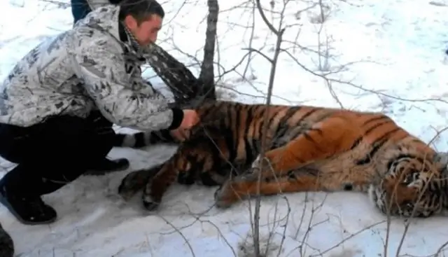 Что нужно для подготовки к снежной буре?