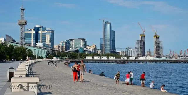 В каком штате выращивают лучшие орехи пекан?
