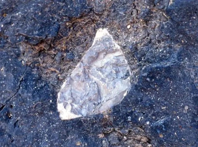 Из чего сделаны капли horehound?