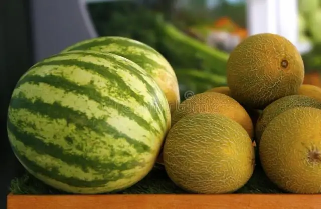 Салат из дыни с дыней из дыни / дыни и яблок, краснокожий
