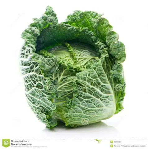 Моя савойская похлёбка