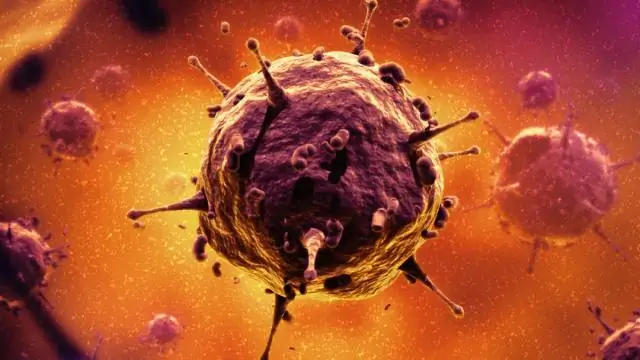 Салат из кальмаров Идеально подходит для закусок