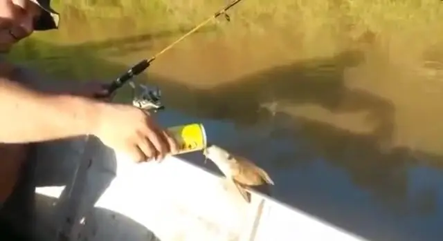 Кингфиш в пивном соусе